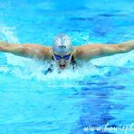 10 Nov 2012 FINA/ Arena Swimming World Cup 2012 Singapore