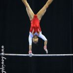 7 June 2015 Gymnastics action at 28th SEA Games Singapore 2015..... photo print displayed in National Stadium's THE CANON SPORTING GALLERY