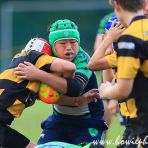 7 Oct 2017 Tanglin Rugby Club TRC Cup Tournament 2017 Singapore