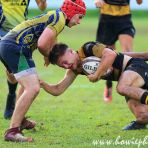 22 Sept 2018 Tanglin Rugby Club TRC Cup Tournament